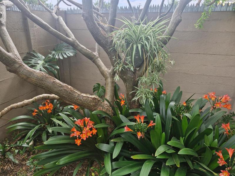 5 Bedroom Property for Sale in Glen Lilly Western Cape